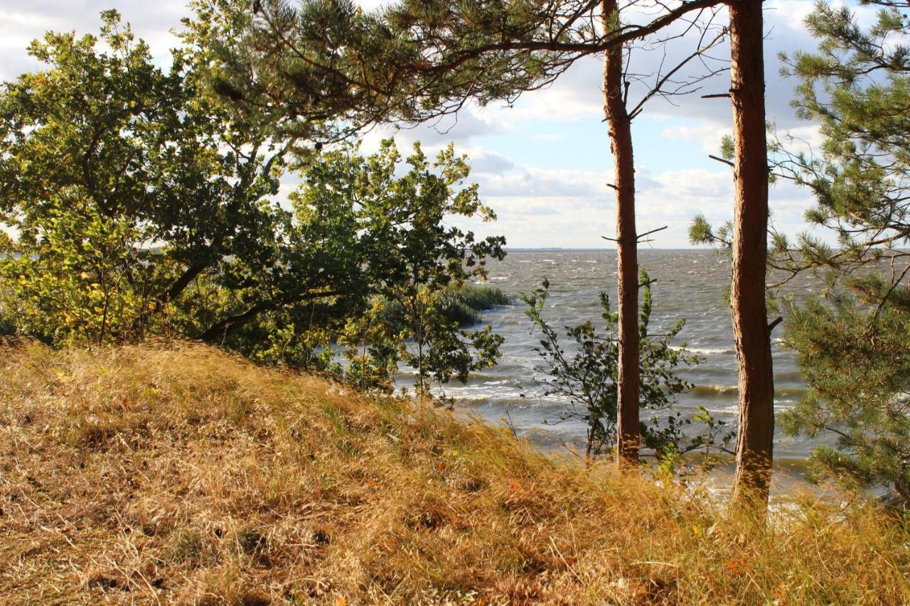 Ferienwohnung Sea Vogelsang-Warsin Eksteriør billede